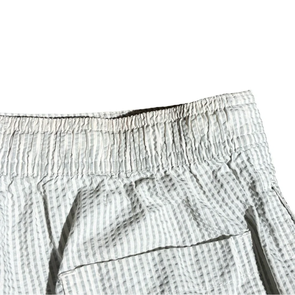 Allsaints Seersucker Swim Trunks Shorts - Picture 4 of 6